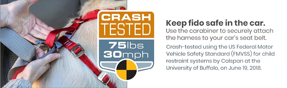Crash test certified using the US Federal Motor Vehicle Safety Standard
