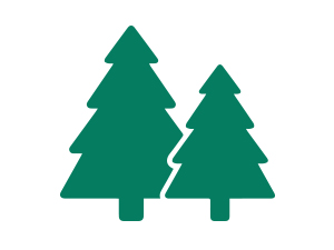 tree free toilet paper