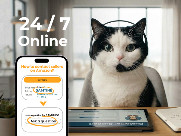 automatic cat feeder