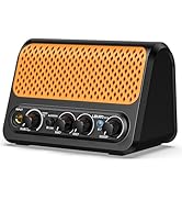 Mini Guitar Amp,LEKATO 10W Portable Electric Guitar Amplifier with Clean &amp; Overdrive Channel,Reve...
