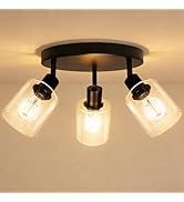 HiBay 3-Light Track Lighting Fixtures Ceiling, Multi Directional Spotlight Round with Glass Shade...