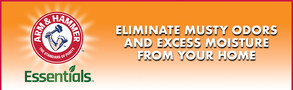 Eliminate musty odors and excess moisture from your home.
