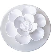 Passive Oil Diffuser for Essential Oil-Non-Electric Porcelain Aromatherapy Diffusers for Small Mi...