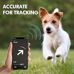 Waterproof Pet Collar