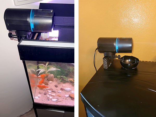 Fish Feeder