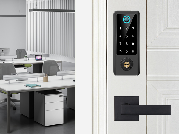 keypad door lock with handle