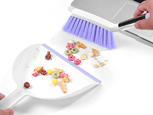 Mini Broom and Dustpan Set