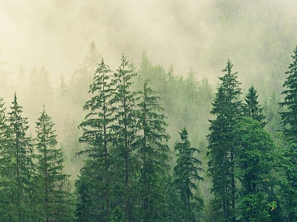 Pinesman - To Do Notepad - One Tree Planted