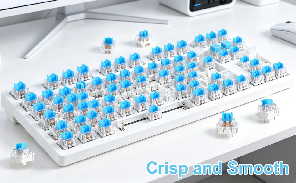 Keyboard Switches A+2