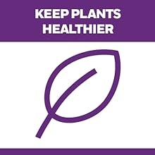 plants healthier