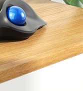 Ergonomic Wireless Trackball Mouse