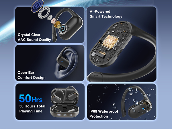 Translator Earbuds
