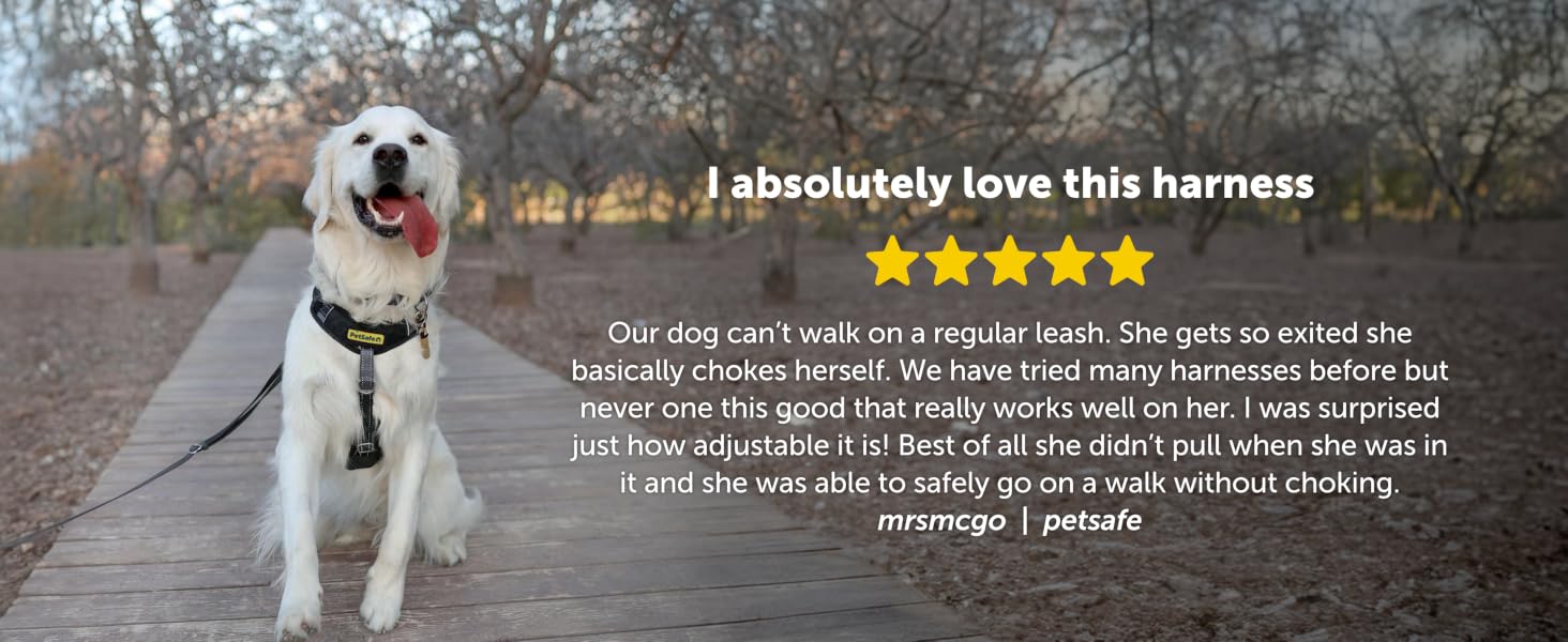 5 star review