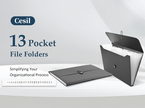 accordion file organizer