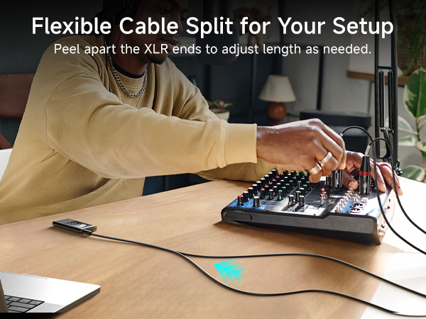 TRS to Dual 6.35mm TS Breakout Cable