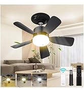 aupuslite 17.5" Socket Fan 25W 1600 Lumens, 3 Colors 3000-6000K Light Bulb Fan, 6 Speed Wind Scre...