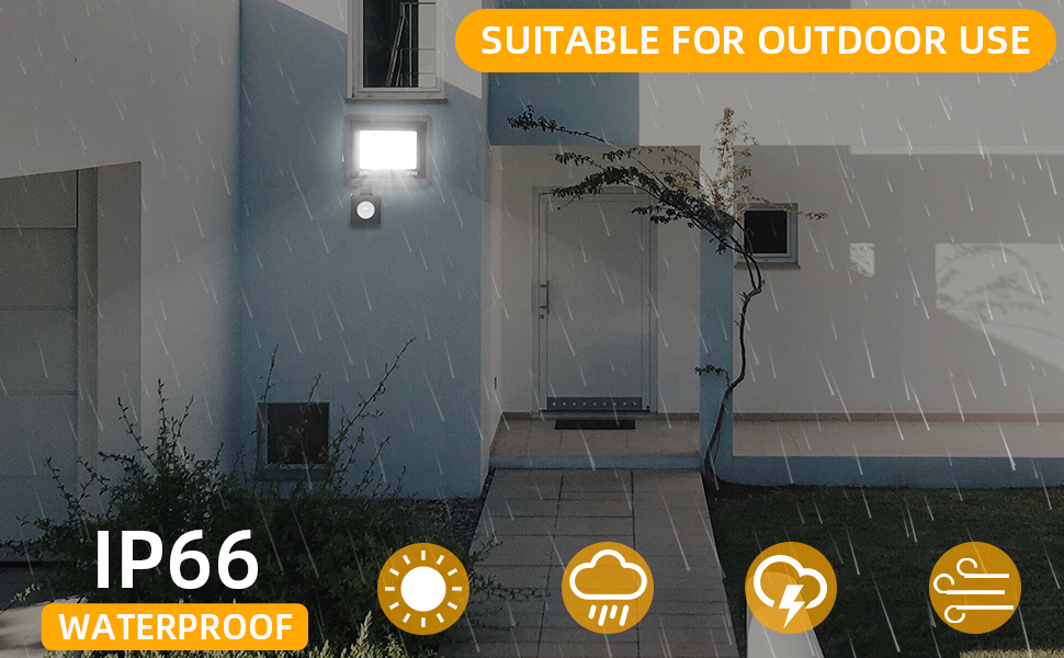 20W Flood Light