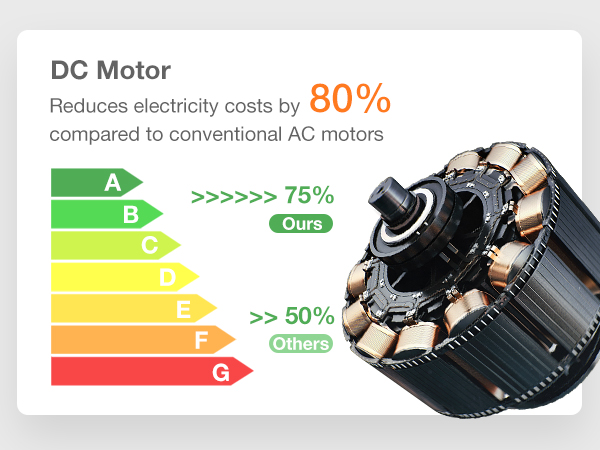 DC motor