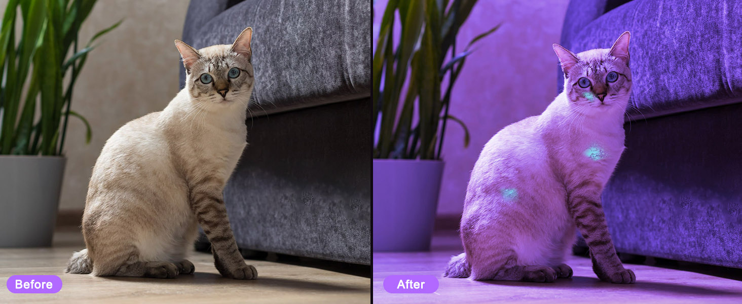 flashlight flashlights high rechargeable lumens led powered battery flash bright powerful