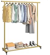 Buzowruil Clothing Rack Clothes Rack Standard Rod Simple Rolling Metal Garment Rack Organizer Fre...