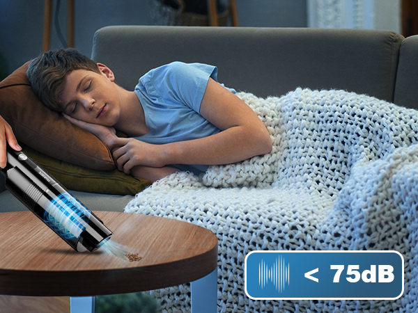cordless car vacuum