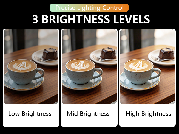 3 Brightness Levels