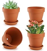 Suwimut 4 Pack Terracotta Plant Pots with Saucer, Large 6 Inch Terra Cotta Plant Pot with Drainag...