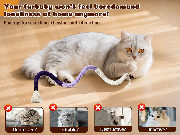 cat toy
