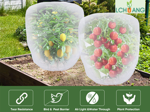 Bird_Garden_Netting_for_Garden_Protection_1