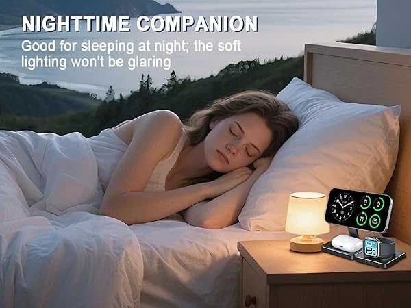 NIGHTTIME COMPANION