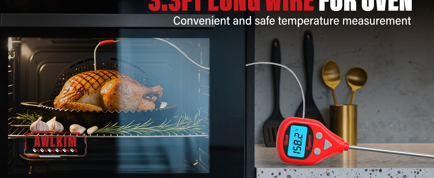 leave in meat thermometer