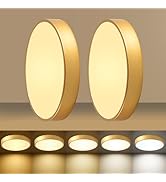 HLinghtnet 24W Dimmable Ceiling Light Fixture, 12 inch Flush Mount Light Fixture, LED Ceiling Lig...