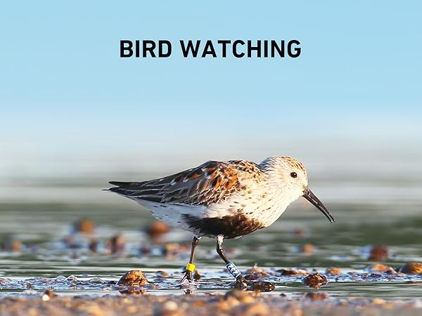 gosky monocular for adults