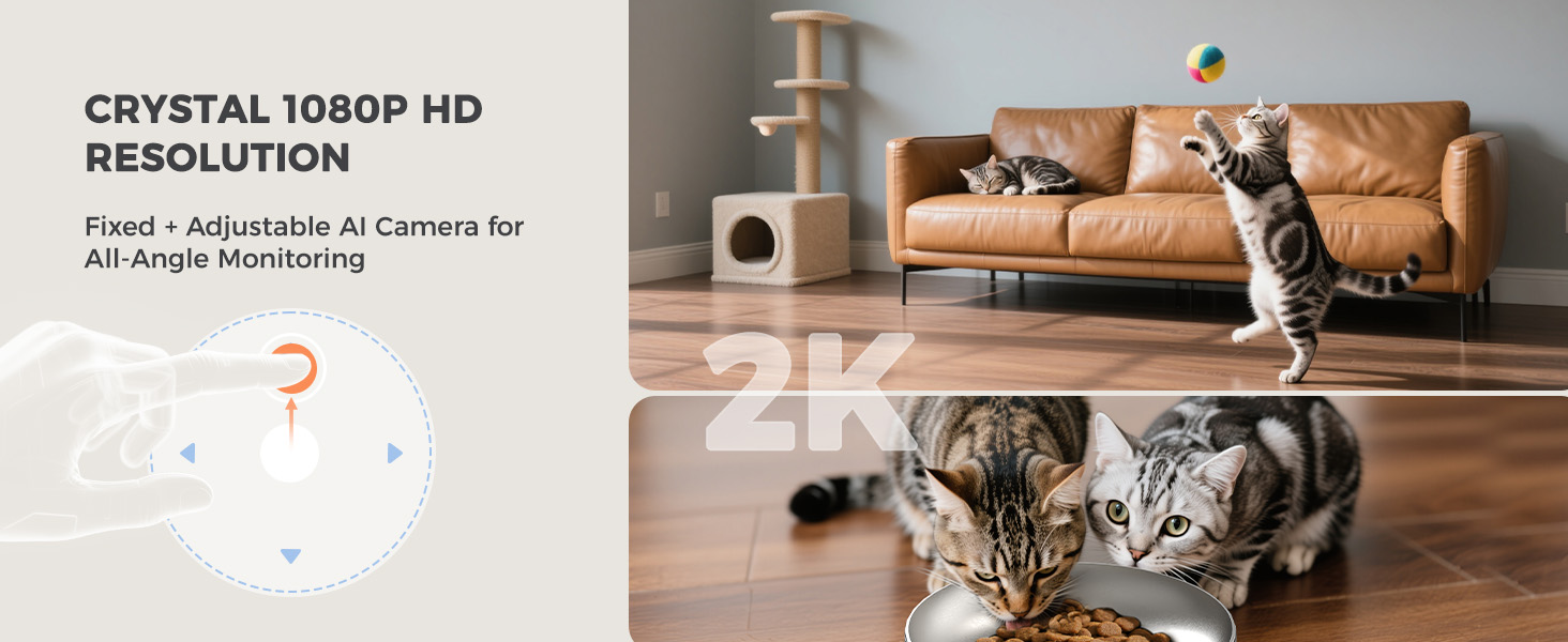 cat feeder with camera