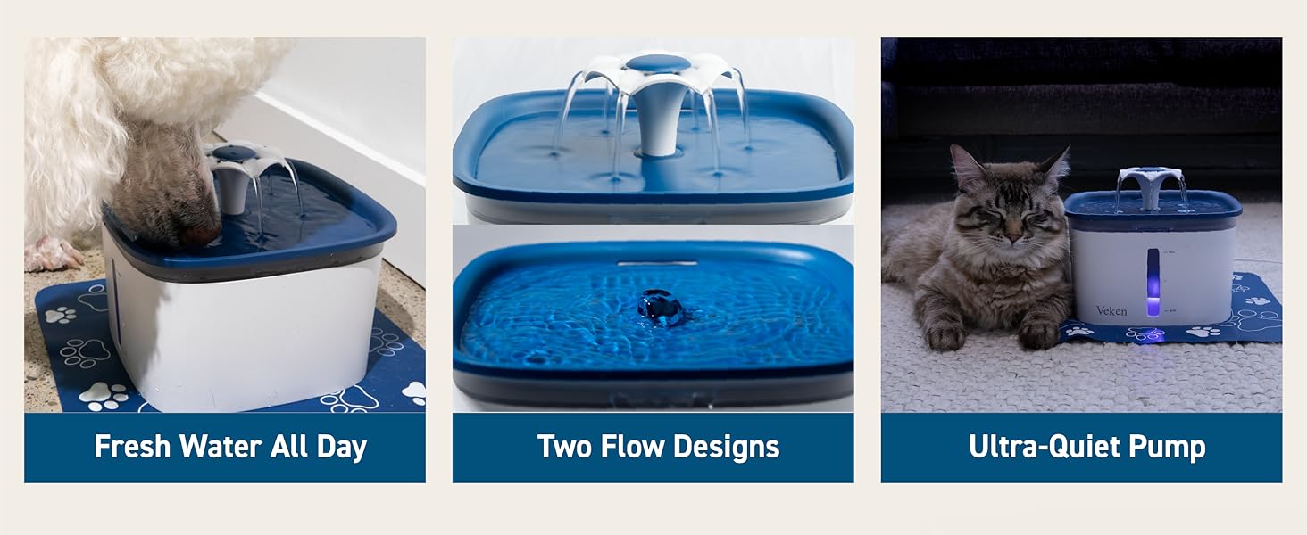 water fountain for cats inside