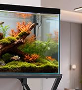 50 Gallon Aquarium Stand