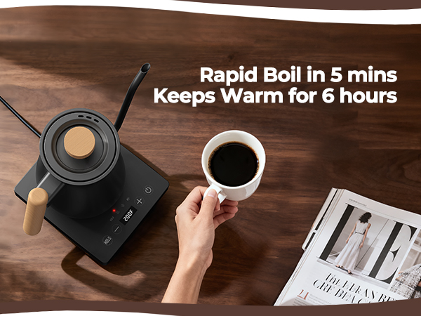 temperature control kettle