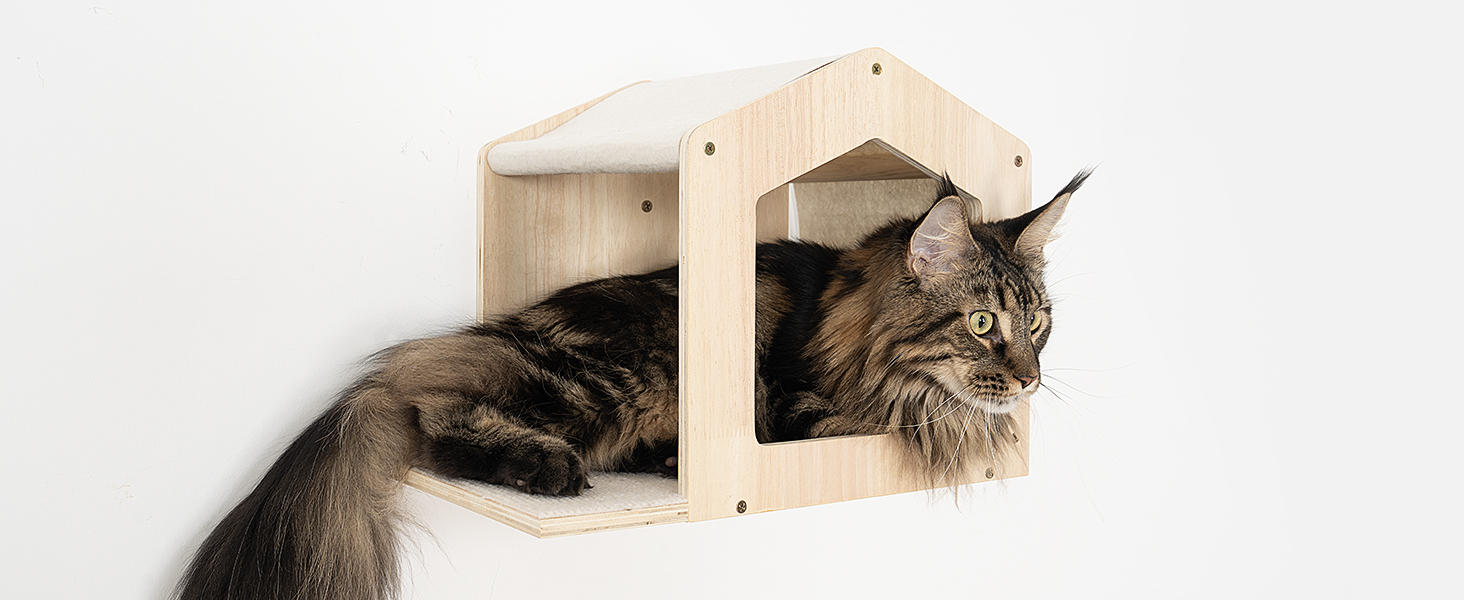 Spacious Cat Condo