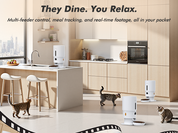 automatic cat feeder cat food dispenser pet feeder