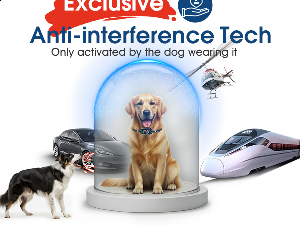 dog barking collar