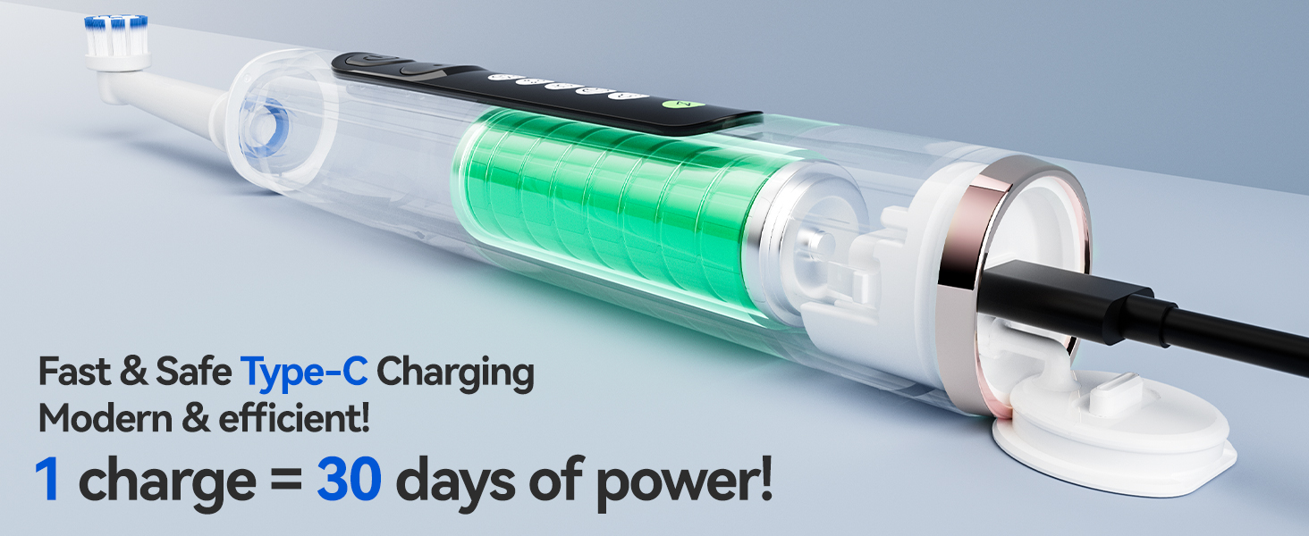 rechargeable tooth brush