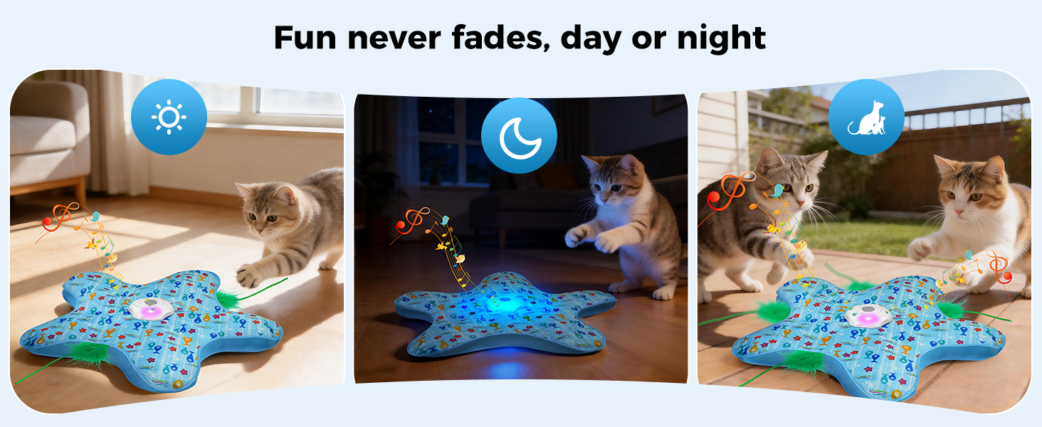 cat toys