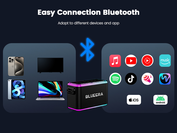 speaker with microphone