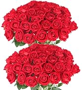 Hananona Artificial Roses in Bulk, Fake Silk Roses Realistic Red Roses for Wedding Centerpieces F...