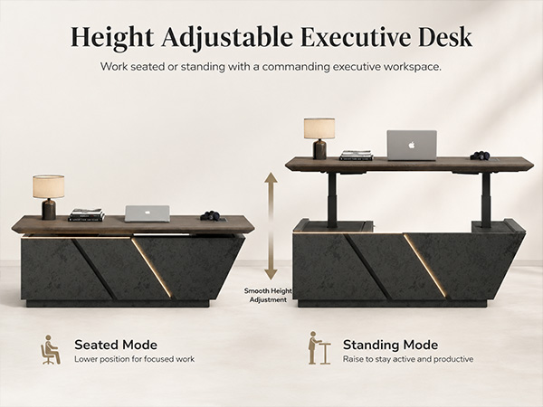 executive standing desk