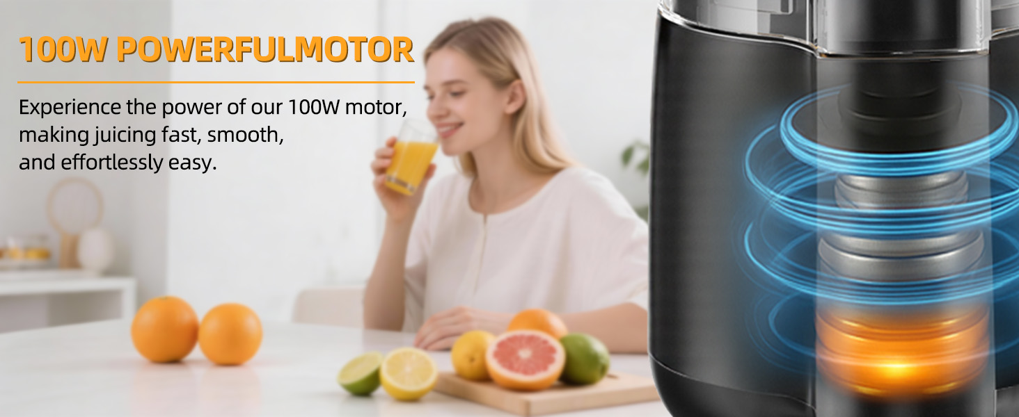 100W POWERFUL MOTOR