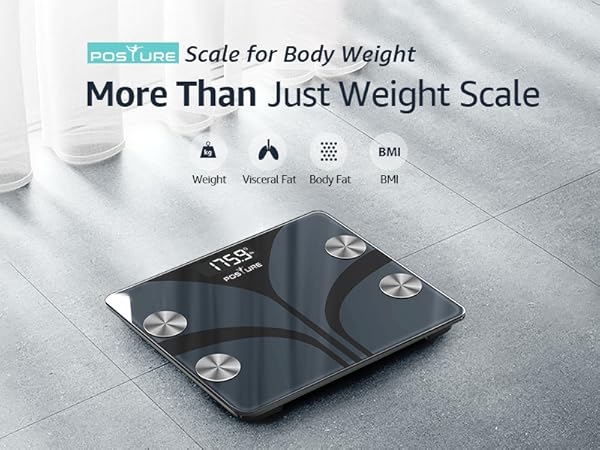 scale