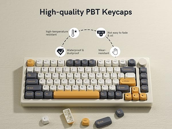 PBT