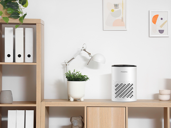 air purifiers for home