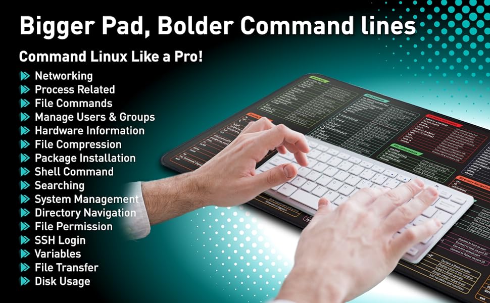 Linux command lines - networking process File Shell System Directory Variables Disk Usage